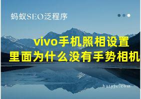 vivo手机照相设置里面为什么没有手势相机