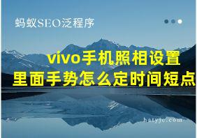 vivo手机照相设置里面手势怎么定时间短点