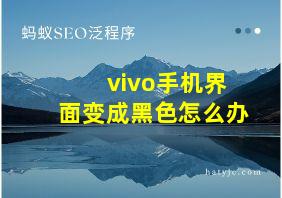 vivo手机界面变成黑色怎么办