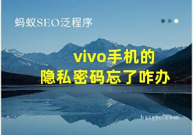 vivo手机的隐私密码忘了咋办