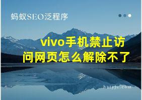 vivo手机禁止访问网页怎么解除不了