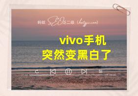 vivo手机突然变黑白了