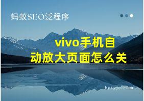 vivo手机自动放大页面怎么关