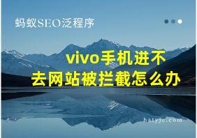 vivo手机进不去网站被拦截怎么办