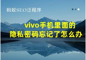 vivo手机里面的隐私密码忘记了怎么办