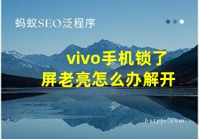 vivo手机锁了屏老亮怎么办解开