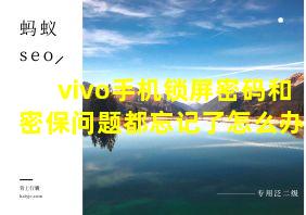 vivo手机锁屏密码和密保问题都忘记了怎么办