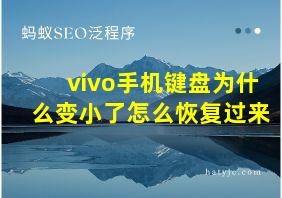 vivo手机键盘为什么变小了怎么恢复过来