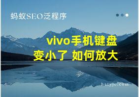 vivo手机键盘变小了 如何放大