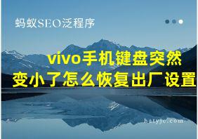 vivo手机键盘突然变小了怎么恢复出厂设置