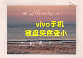 vivo手机键盘突然变小