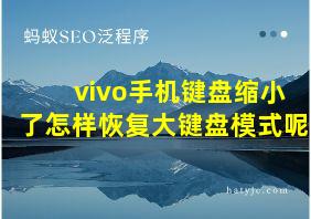 vivo手机键盘缩小了怎样恢复大键盘模式呢