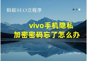 vivo手机隐私加密密码忘了怎么办