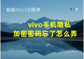 vivo手机隐私加密密码忘了怎么弄