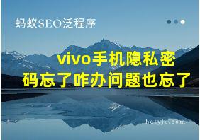 vivo手机隐私密码忘了咋办问题也忘了