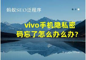 vivo手机隐私密码忘了怎么办么办?