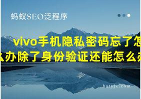 vivo手机隐私密码忘了怎么办除了身份验证还能怎么办?