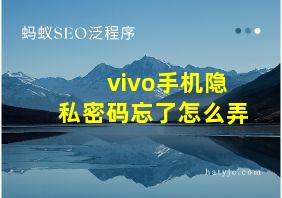 vivo手机隐私密码忘了怎么弄