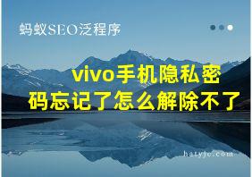 vivo手机隐私密码忘记了怎么解除不了