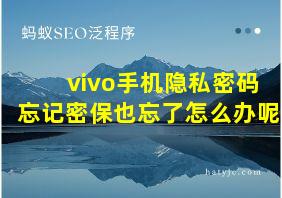 vivo手机隐私密码忘记密保也忘了怎么办呢