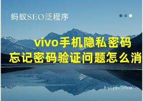 vivo手机隐私密码忘记密码验证问题怎么消