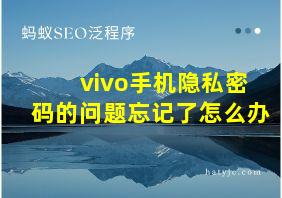 vivo手机隐私密码的问题忘记了怎么办