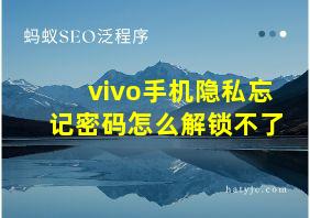 vivo手机隐私忘记密码怎么解锁不了