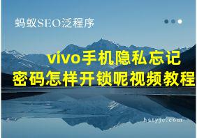 vivo手机隐私忘记密码怎样开锁呢视频教程