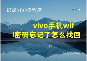 vivo手机wifi密码忘记了怎么找回