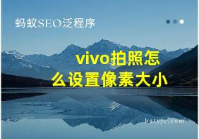 vivo拍照怎么设置像素大小