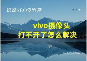 vivo摄像头打不开了怎么解决