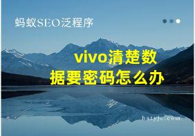 vivo清楚数据要密码怎么办