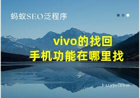 vivo的找回手机功能在哪里找