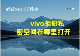 vivo相册私密空间在哪里打开