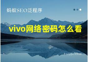 vivo网络密码怎么看