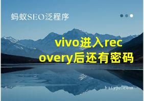 vivo进入recovery后还有密码