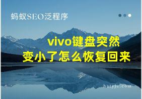 vivo键盘突然变小了怎么恢复回来