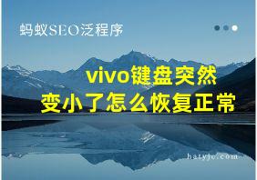 vivo键盘突然变小了怎么恢复正常