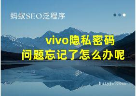 vivo隐私密码问题忘记了怎么办呢