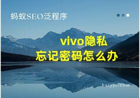 vivo隐私忘记密码怎么办