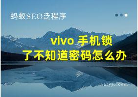 vivo 手机锁了不知道密码怎么办