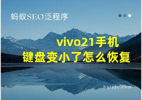 vivo21手机键盘变小了怎么恢复