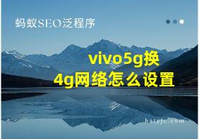 vivo5g换4g网络怎么设置