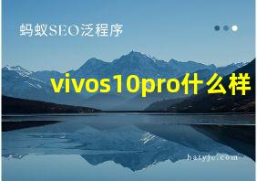 vivos10pro什么样