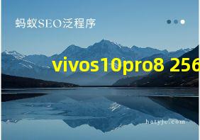 vivos10pro8+256