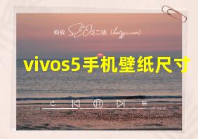 vivos5手机壁纸尺寸