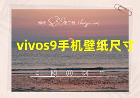 vivos9手机壁纸尺寸