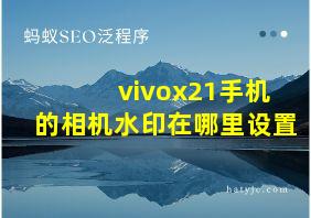 vivox21手机的相机水印在哪里设置