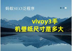 vivoy3手机壁纸尺寸是多大