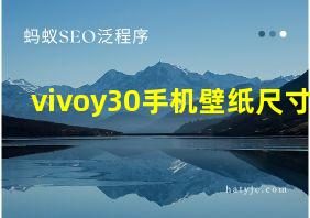 vivoy30手机壁纸尺寸